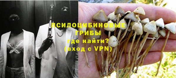 первитин Лагань